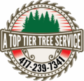 A Top Tier Tree Service